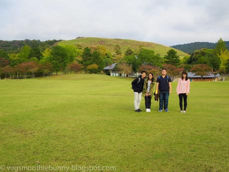 Osaka/ Tokyo Autumn Itinerary 2014: Day 4 (Part 1)- Kyoto's Nara Deer Park