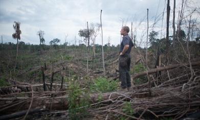 Conservationists v chainsaws: the RSPB’s battle to save an Indonesian rainforest