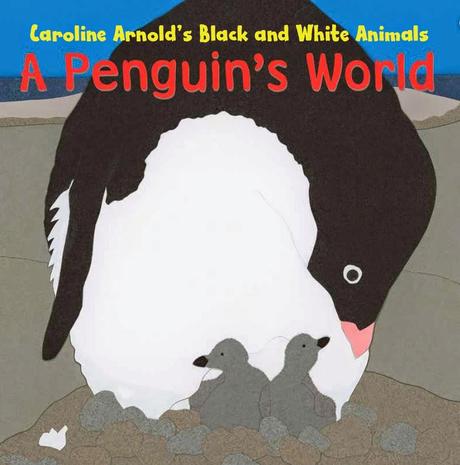 New BOARD BOOK: A Penguin’s World