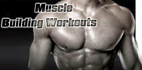 Muscle Building Workout