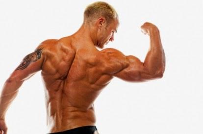 Building Muscle Mass