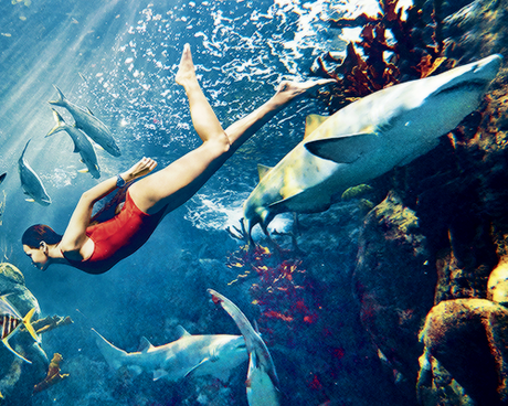 Rihanna’s Interview With Harper’s Bazaar Rihanna’s Interview With Harper’s Bazaar