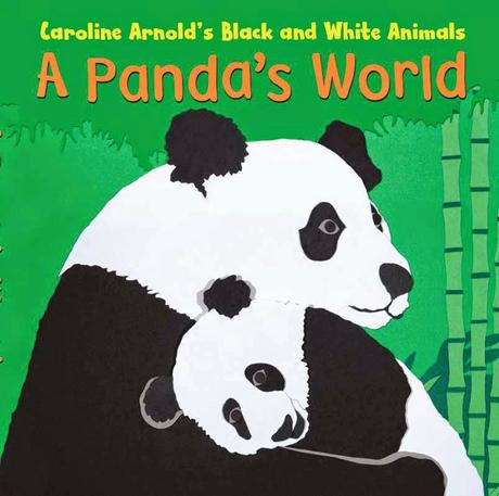 New BOARD BOOK: A Panda’s World