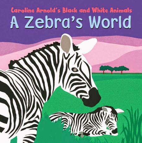 New BOARD BOOK: A Zebra’s World