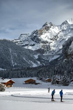 Kandersteg: cross-plateau skiing DSC_4966