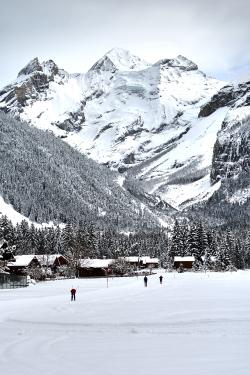 Kandersteg: cross-plateau skiing DSC_4982