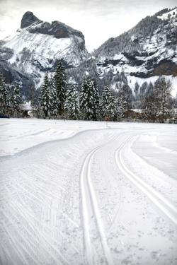 Kandersteg: cross-plateau skiing DSC_4930
