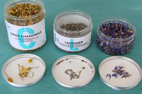 How to Use Edible Flowers: 3 Delicious Icing Ideas How to Use Edible Flowers