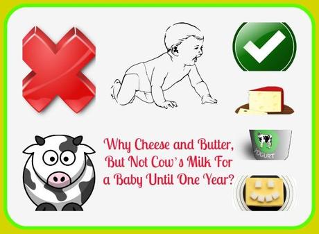  no cow's milk for baby