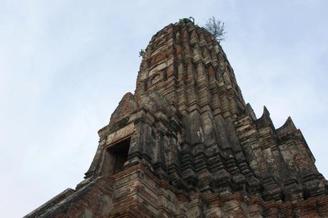 Ayutthaya on Two Wheels DSC_0443