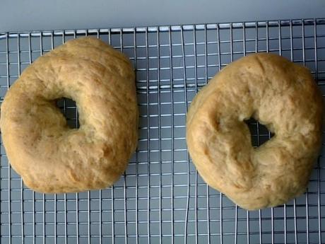 Sour Dough Bagels #breadbakers IMGP8881