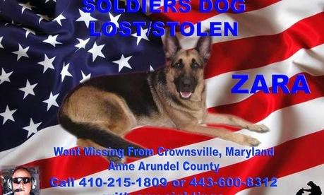 UPDATE: Army National Guard's missing dog suspected to be in South Carolina