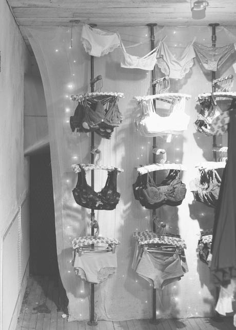 Thoughts About My Lingerie Journey the_growth_of_lingerie (1 of 6)