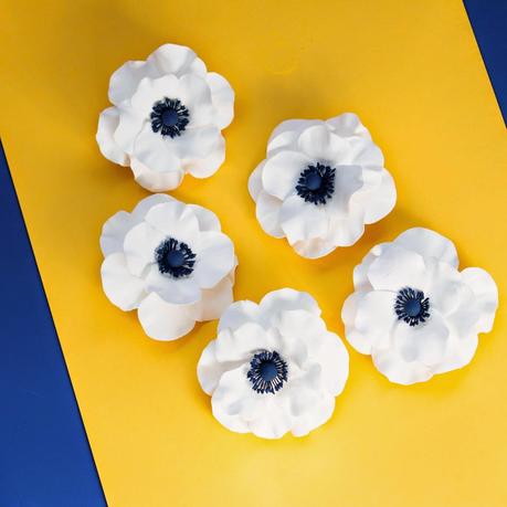 Navy blue wedding anemone in clay