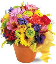 Flowers Help, Flowers Heal Flowers Help, Flowers Heal