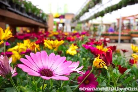 Flowers Help, Flowers Heal Flowers Help, Flowers Heal