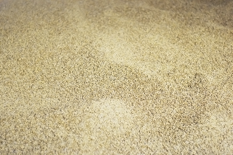 Guinness storehouse Dublin Guinness, storehouse, dublin, brewery, grain, barley, texture, close up