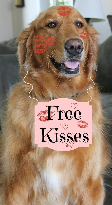 A Dog's Valentine Special