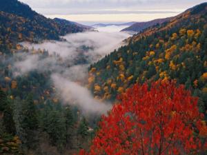 Gatlinburg conference to examine biodiversity issues adam-jones-autumn-view-of-fog-from-morton-overlook-great-smoky-mountains-national-park-tennessee-usa