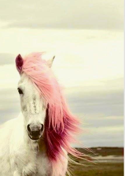 Color Me Romantic! Color Me Romantic!