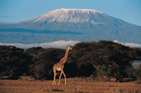 The Adventure Blog on Hiatus, Heading to Kilimanjaro! The Adventure Blog on Hiatus, Heading to Kilimanjaro!