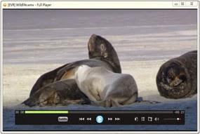 Full Player free media player for windows Best VLC media player Alternatives