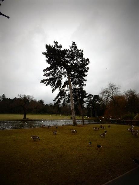 Brummie Parklife Brummie Parklife