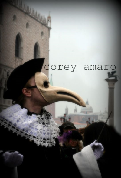 Venice carnival mask ball, Venice carnival corey amaro photography