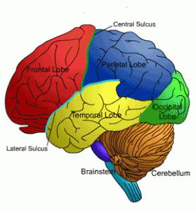 improve-brain-health-1