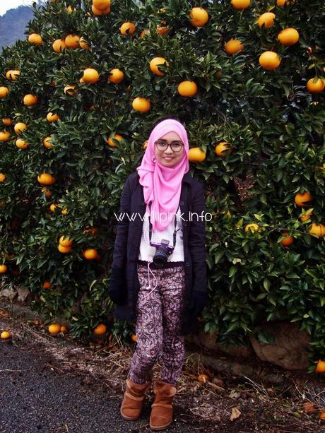 Japan Diaries: The Citrus Capital of Japan - Setoda, Onomichi City Japan Diaries: The Citrus Capital of Japan - Setoda, Onomichi City
