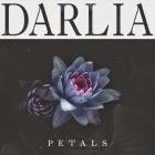 Darlia: Petals