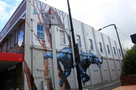 Street art by Fintan Magee on the corner of Ruthven and Union Sts, Toowoomba. 