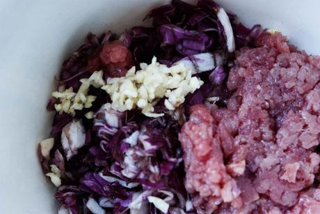 Chinese Dumplings: radicchio, beef and mint! Chinese Dumplings: radicchio, beef and mint!