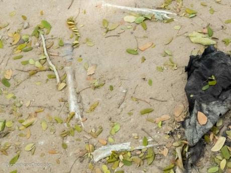 Bone Fragments and Clothing at Cambodia Killing Field Choeung Ek