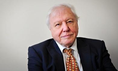 Urgent: Reserves and parks not enough to protect nature – David Attenborough Urgent: Reserves and parks not enough to protect nature – David Attenborough