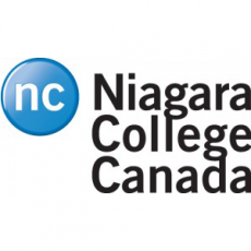 Niagara College GIS Certificate
