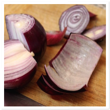 The Journey of Grief: Peeling an Onion Part 3: A Time to React
