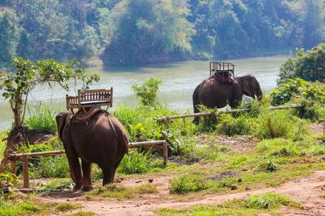 Luang Prabang: Temples, Monks, Markets and Elephants