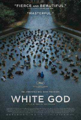 REVIEW: White God REVIEW: White God