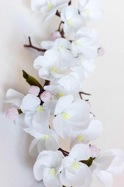 Petal Essay Format Paper Flowers