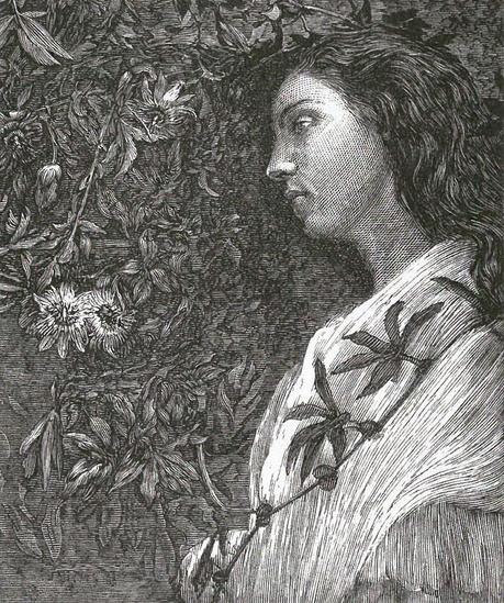 The Illustrated Tennyson: A Brief History