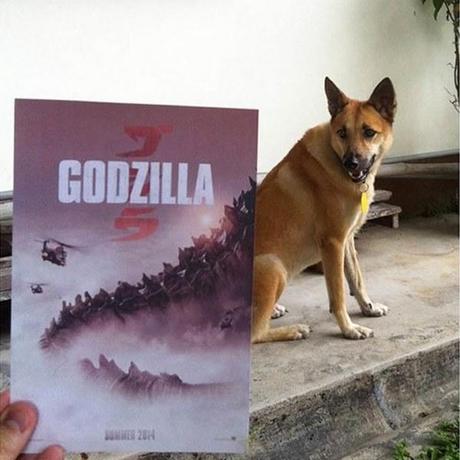 Instagrammer Creates Hilarious Movie Poster / Real-Life Mashups movie-poster-instagram-5