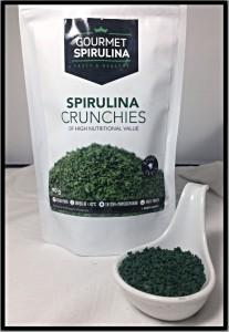 Product Review: Gourmet Spirulina spirulina review
