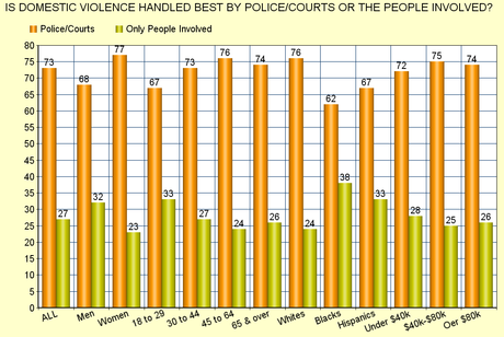 Domestic Violence Is Best Handled By Police & Courts