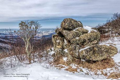 Cold-Winter-Overcast-Morning-in-the-Shenandoah-National-Park-3