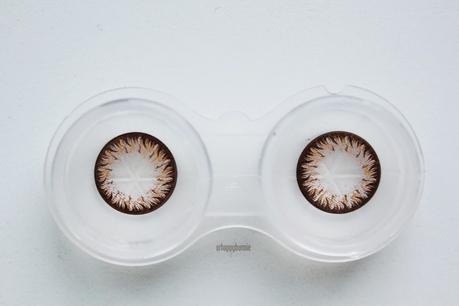 [PastelNoodles] GEO Twinkle Brown Circle Lens Review