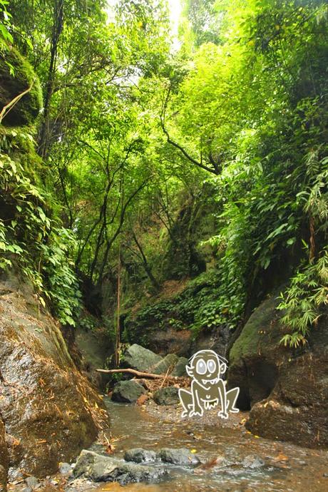The Waterfalls of Laurel: Malagaslas and Ambon–Ambon