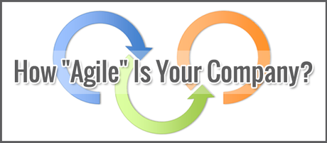 How “Agile” Is Your Company? How “Agile” Is Your Company?
