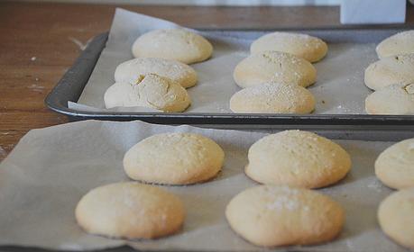 Recipe | Super Easy Sugar Cookies!