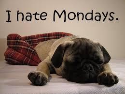 Image result for monday morning